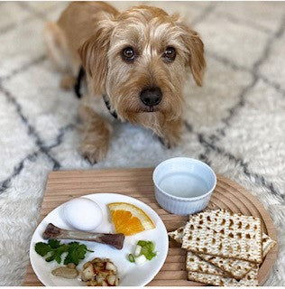 Dreidel Champ in Training – Handmade Hanukkah 2-sided Dog Bandana Collar