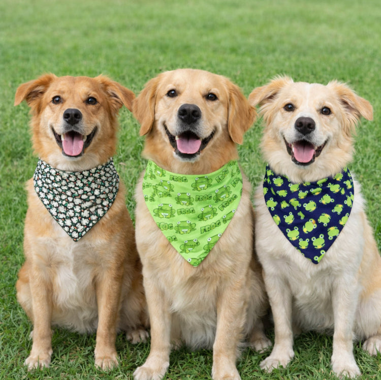Pawsitively Froggy Collection