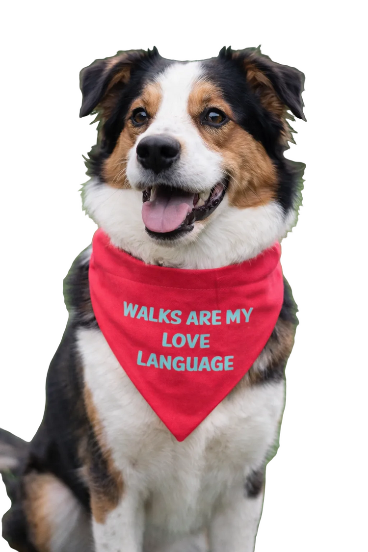 PERSONALIZED BANDANAS COLLECTION