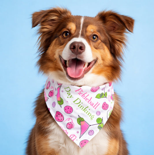 "PIckleball Day Drinking" Dog Bandana with Scrunchy Elastic Collar