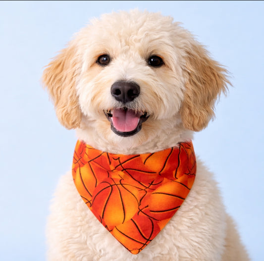 Basketball Dog Bandana with Scrunchy Elastic Collar
