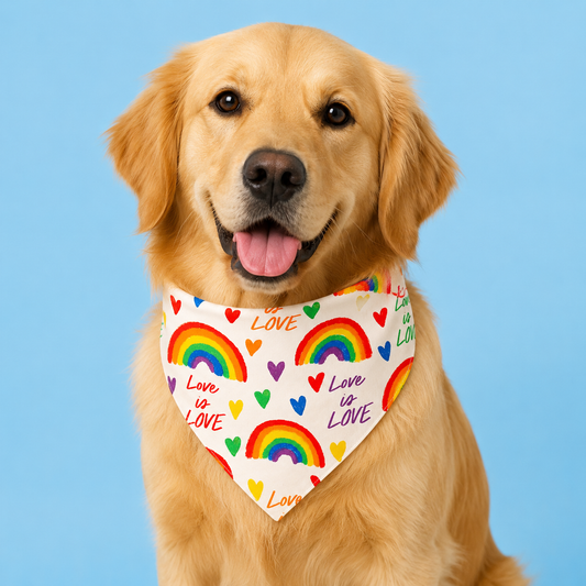 Love Is Love Pride Dog Bandana with Scrunchy Elastic Collar