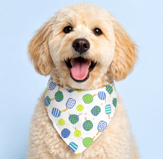 PIckleball Paddle and Ball Dog Bandana with Scrunchy Elastic Collar