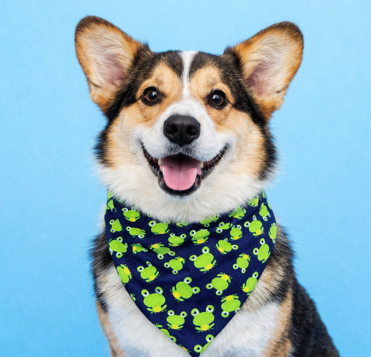 Navy Frog Dog Bandana With Scrunchy Elastic Collar
