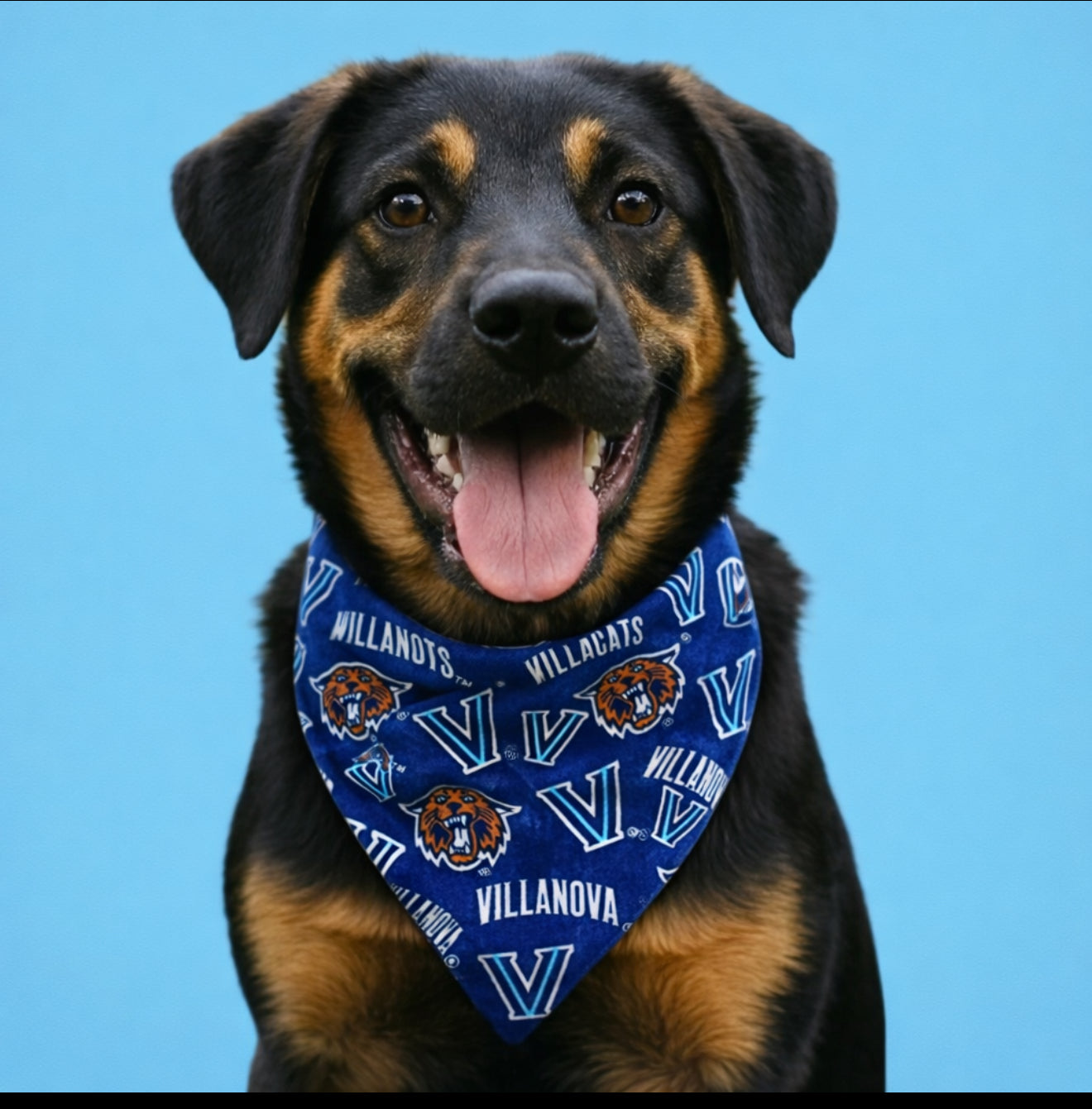 Villanova University Dog Bandana With Scrunchy Elastic Collar