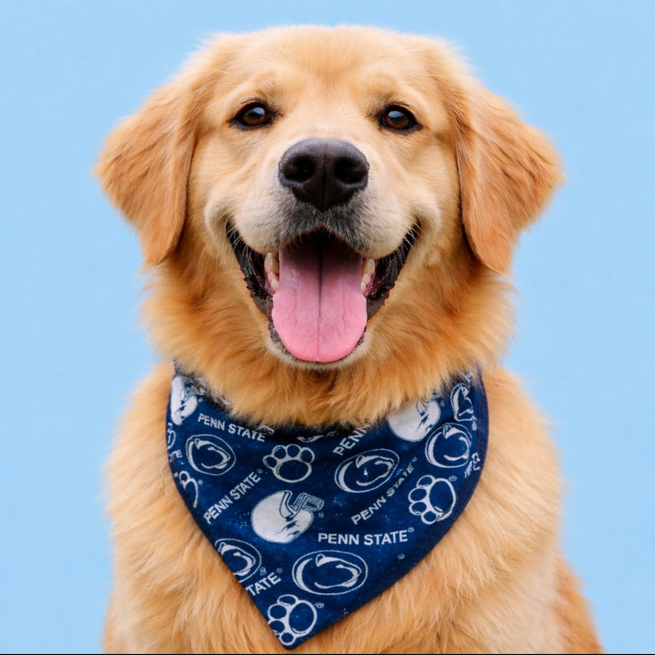 Penn State Dog Bandana With Football Helmet With Scrunchy Elastic Collar