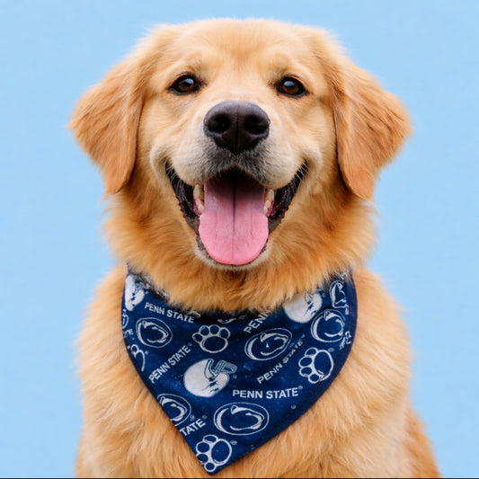 Penn State Dog Bandana With Football Helmet With Scrunchy Elastic Collar