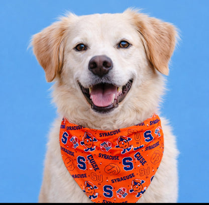 Syracuse University Dog Bandana With Scrunchy Elastic Collar