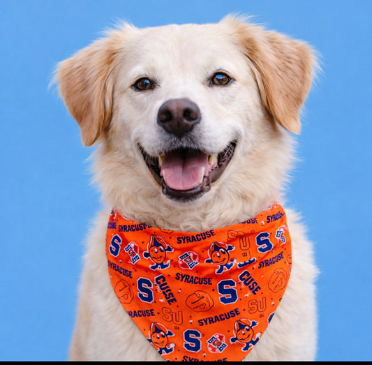 Syracuse University Dog Bandana With Scrunchy Elastic Collar
