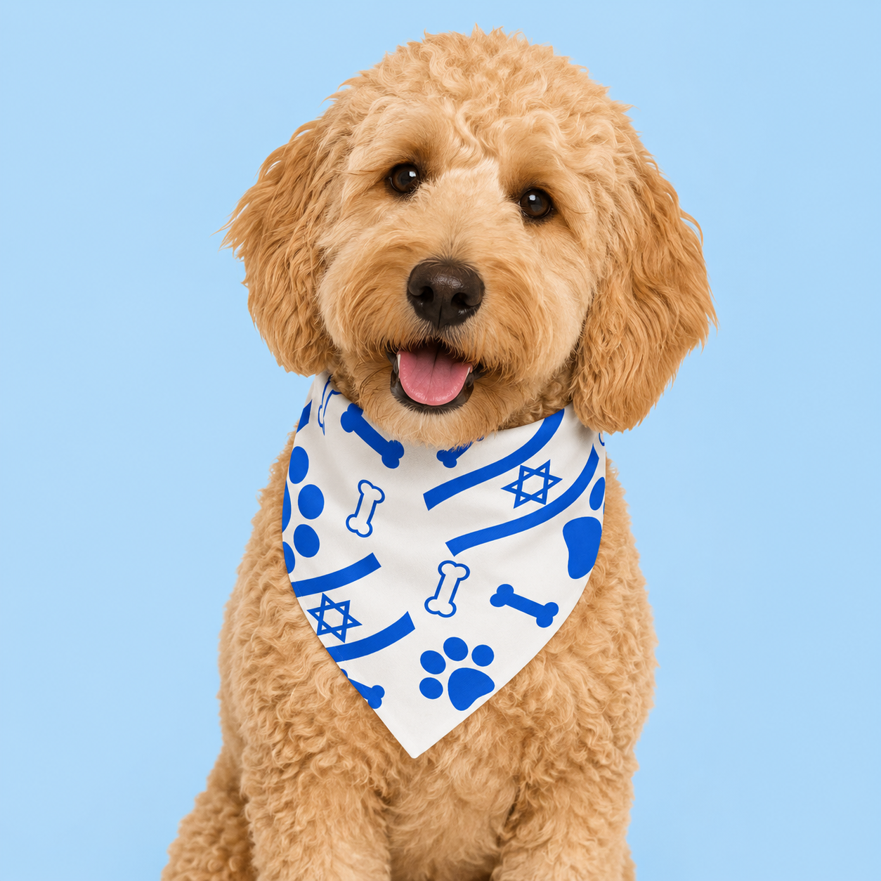 Israeli Flag Dog Bandana with Scrunchy Elastic Collar