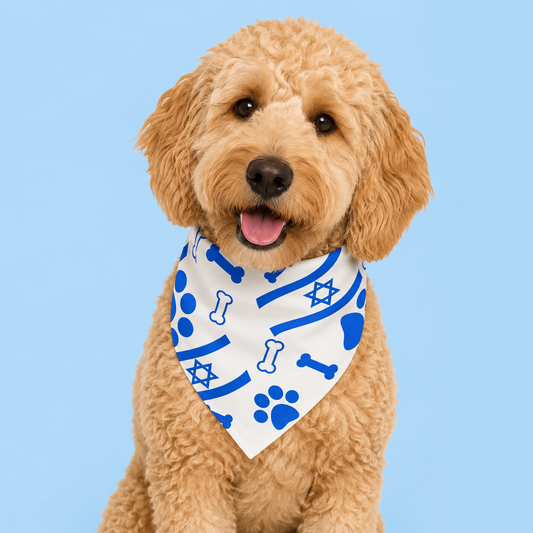 Israeli Flag Dog Bandana with Scrunchy Elastic Collar