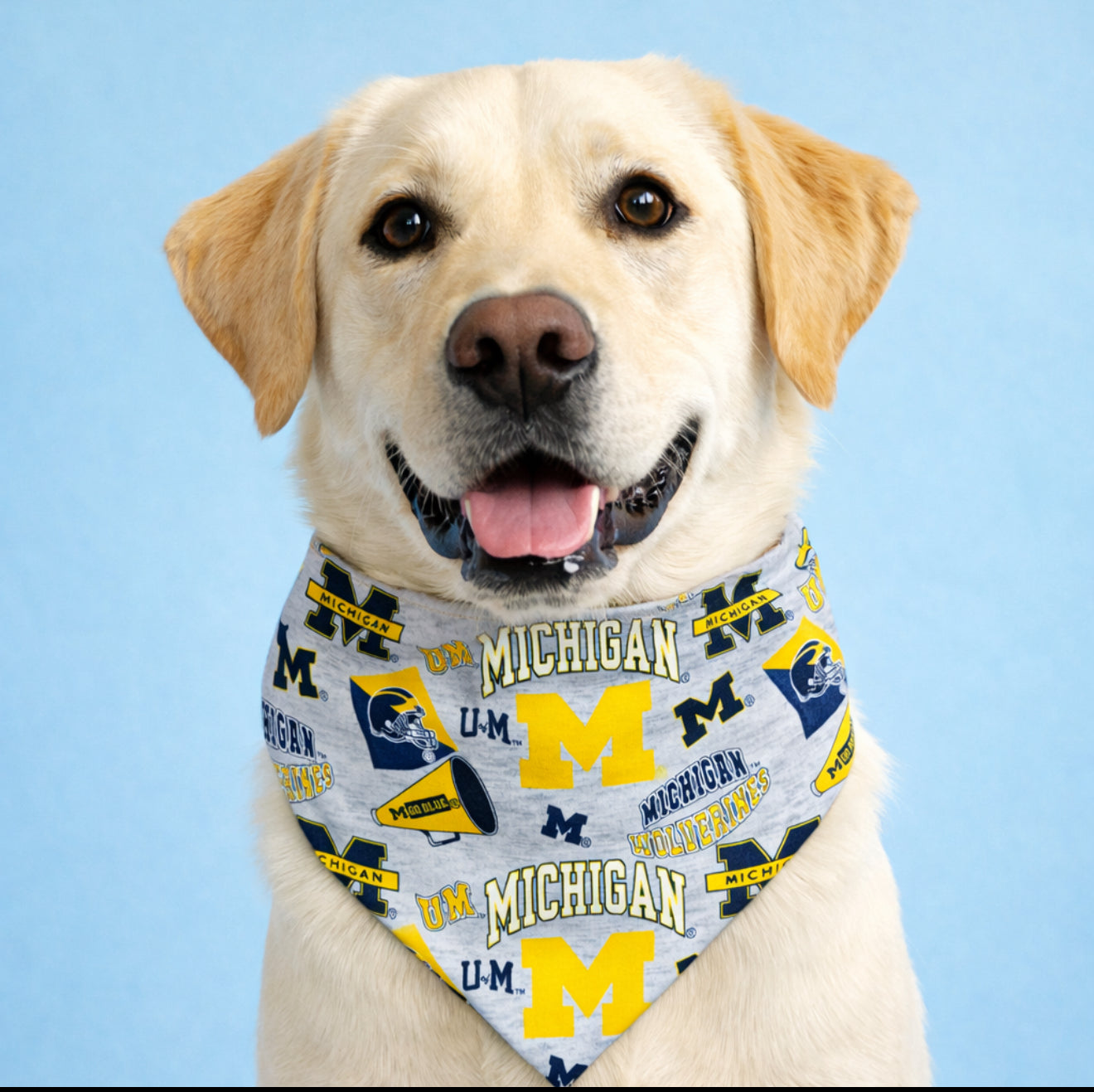 University of Michigan Dog Bandana With Scrunchy Elastic Collar