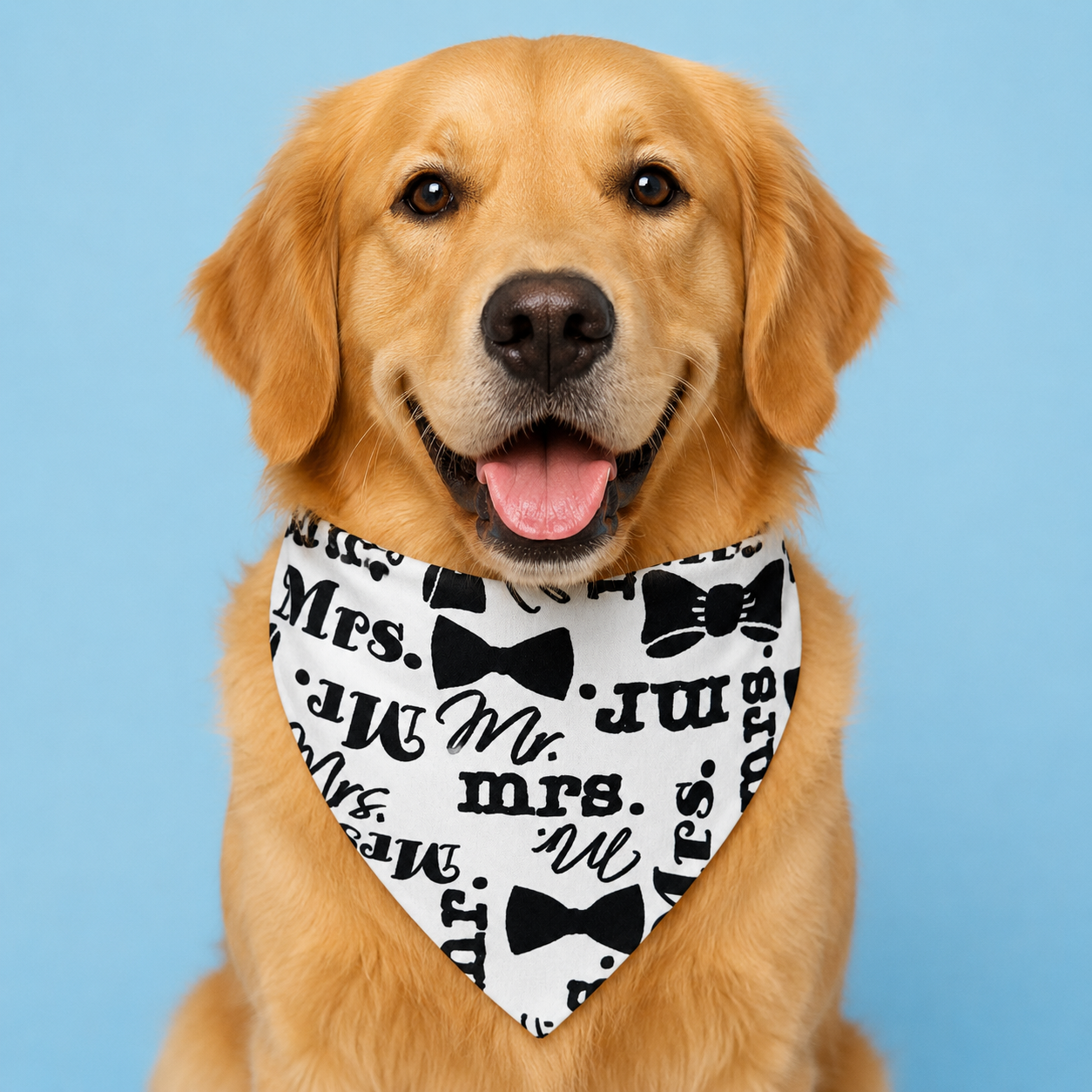 "Mr. and Mrs." Wedding Dog Bandana with Scrunchy Elastic Collar