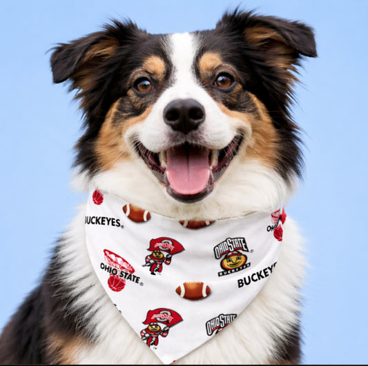 Ohio State University Dog Bandana With Scrunchy Elastic Collar