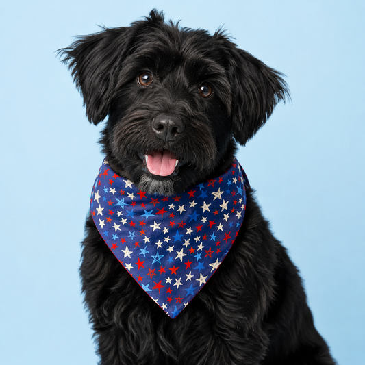 Navy Patriotic Stars Dog Bandana with Scrunchy Elastic Collar