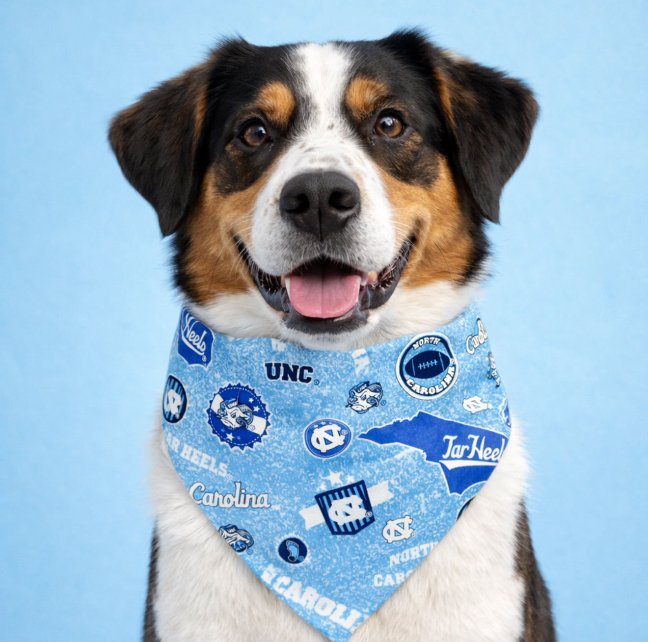 University of North Carolina Dog Bandana With Scrunchy Elastic Collar