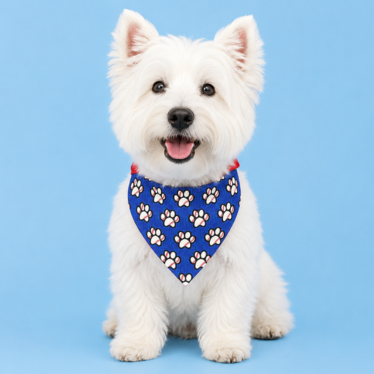 Baseball Dog Bandana with Scrunchy Elastic Collar