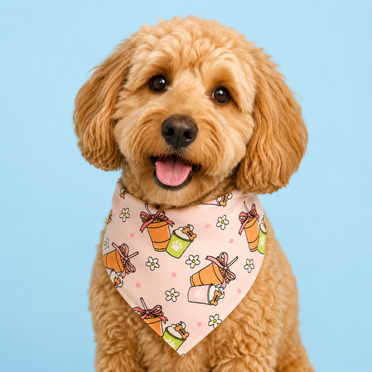 Pup Cup Pals Dog Bandana with Scrunchy Elastic Collar