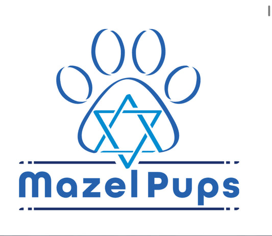 Dreidel Champ in Training – Handmade Hanukkah 2-sided Dog Bandana Collar