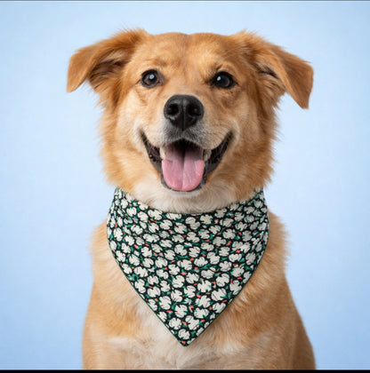 Tiny Frogs Dog Bandana With Scrunchy Elastic Collar