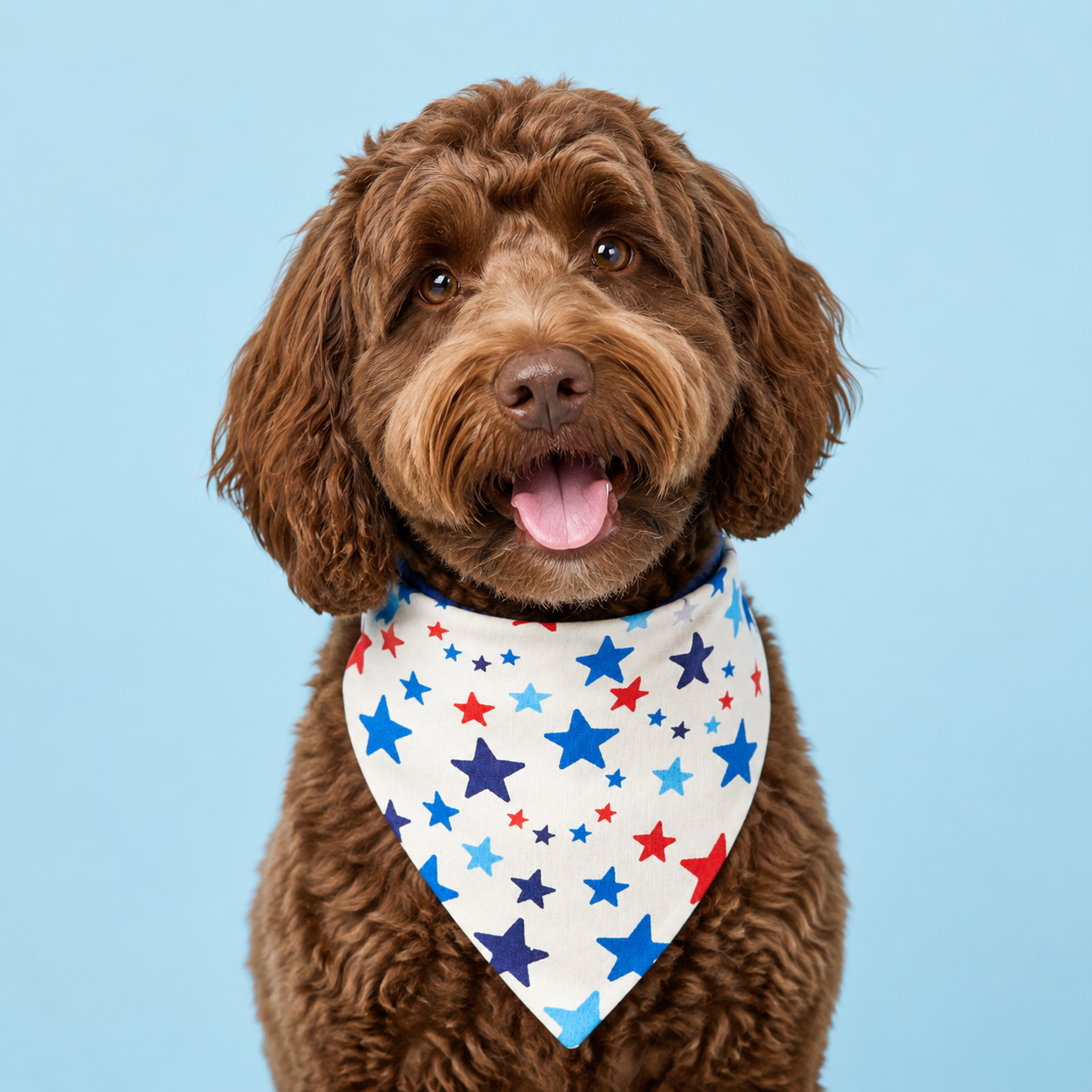 Patriotic Stars Dog Bandana with Scrunchy Elastic Collar
